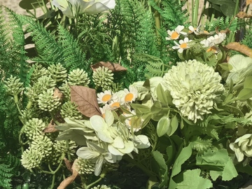 绿色植物盆栽园艺设计素材