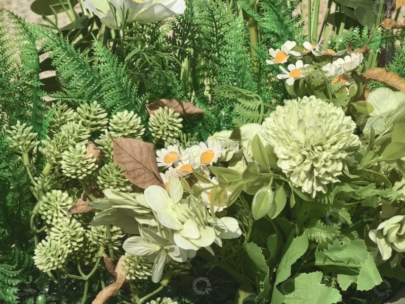 高清大图下载【趣麦麦图】绿色植物盆栽园艺设计素材