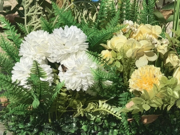 自然花卉组合盆栽摄影