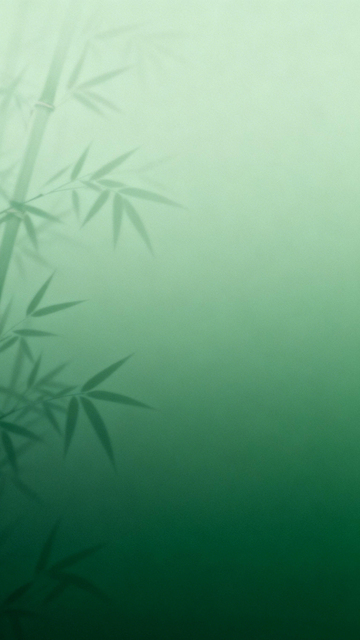 绿调竹影国风氛围