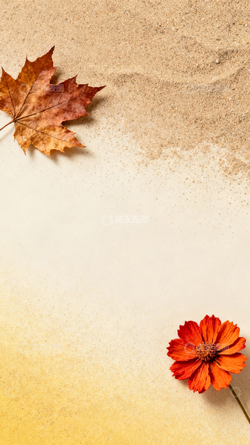 高清大图下载【趣麦麦图】秋叶橙花秋日氛围3
