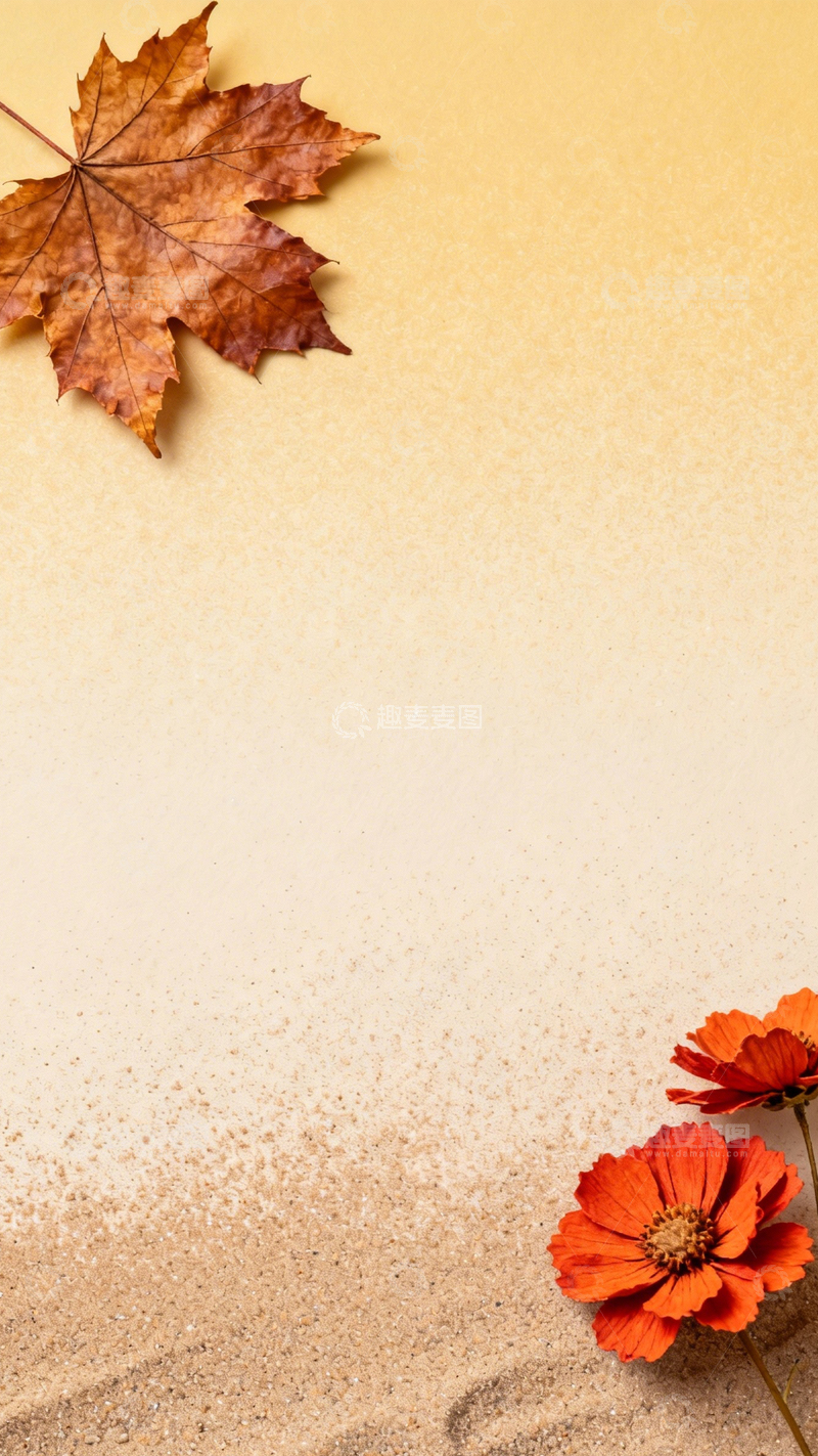 高清大图下载【趣麦麦图】秋叶橙花秋日氛围1