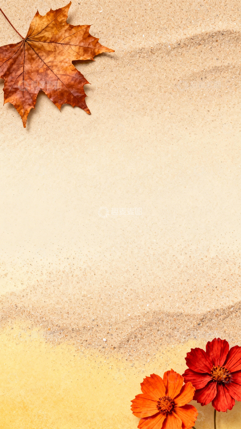 高清大图下载【趣麦麦图】秋叶橙花秋日氛围