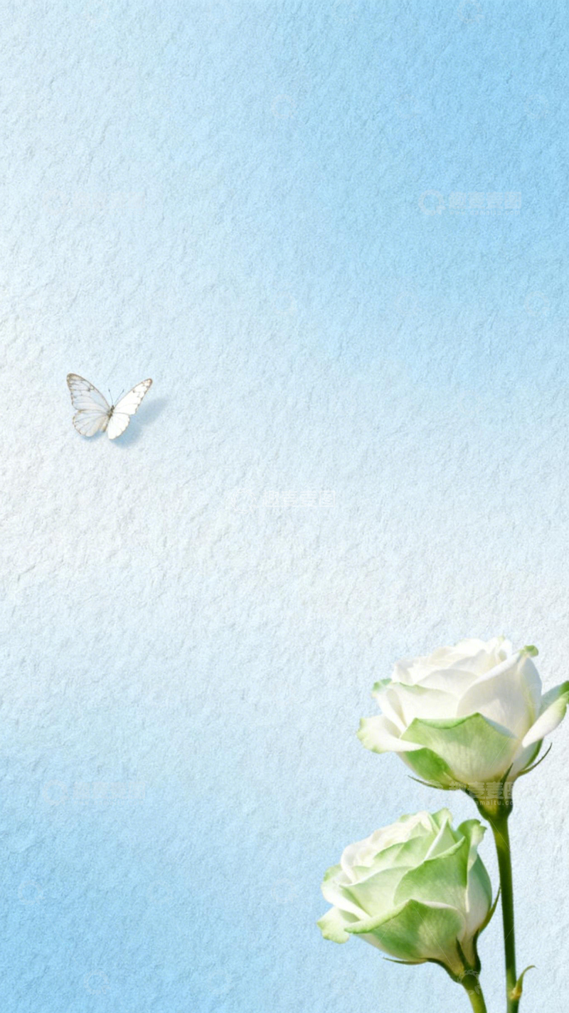 高清大图下载【趣麦麦图】青蓝蝶玫清新氛围3