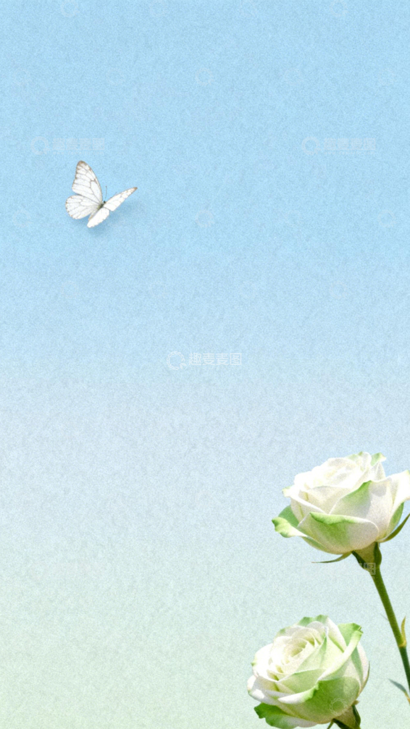 高清大图下载【趣麦麦图】青蓝蝶玫清新氛围1