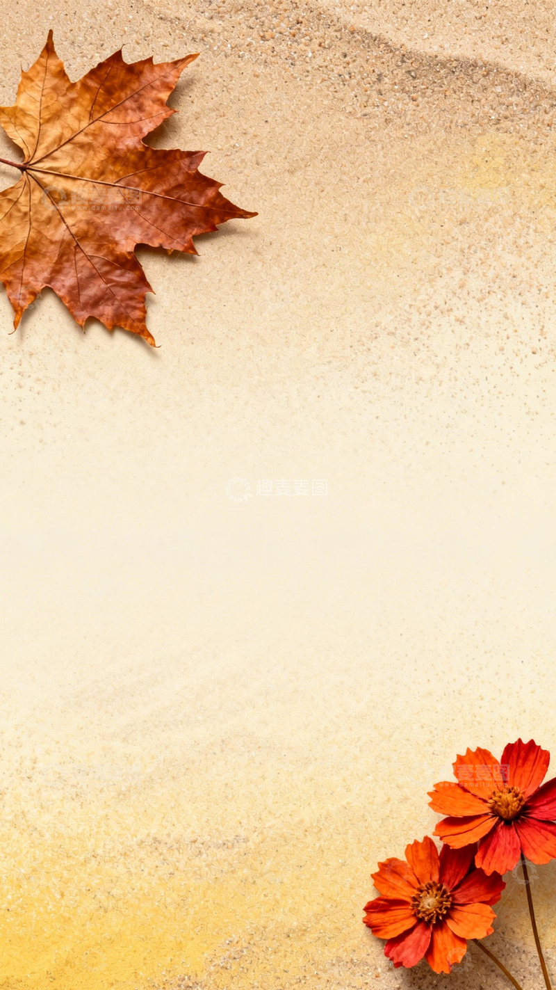 高清大图下载【趣麦麦图】秋叶橙花秋日氛围2