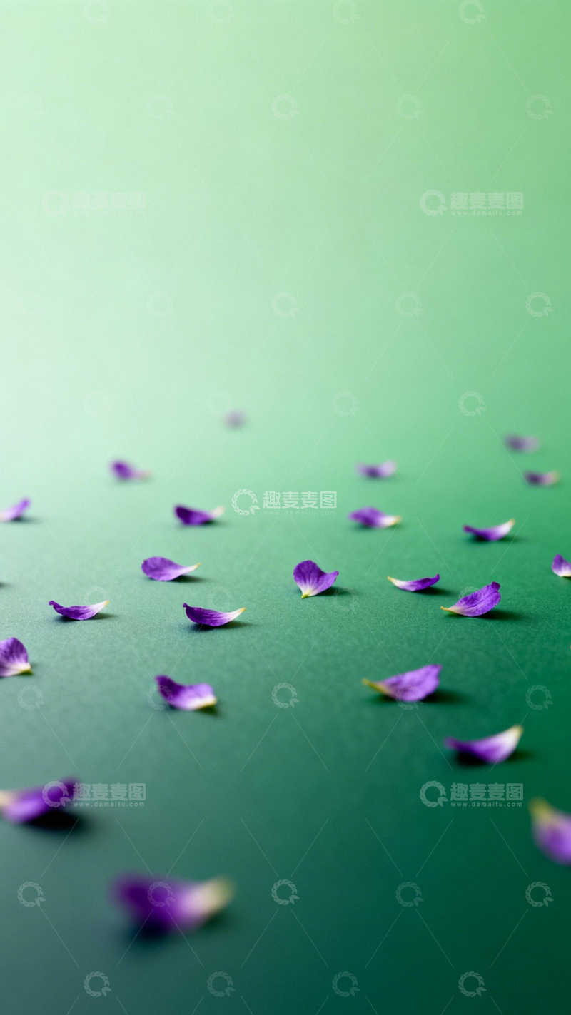 高清大图下载【趣麦麦图】绿底紫瓣自然清新3