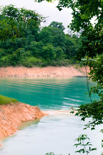 万绿湖山水相依绿意浓自然景观摄影