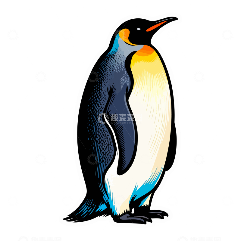 源文件下载【趣麦麦图】卡通风格企鹅插画素材