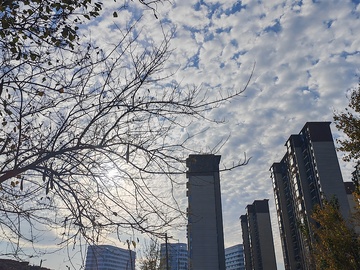 蓝天白云下的高楼