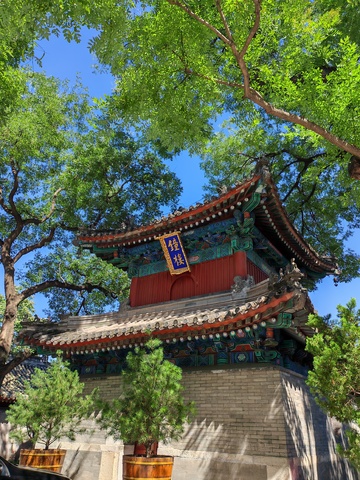 古建钟楼绿树环绕