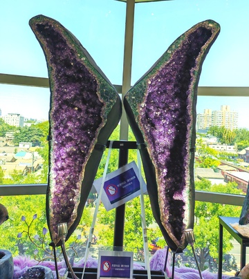 晶体蝴蝶装饰品展示