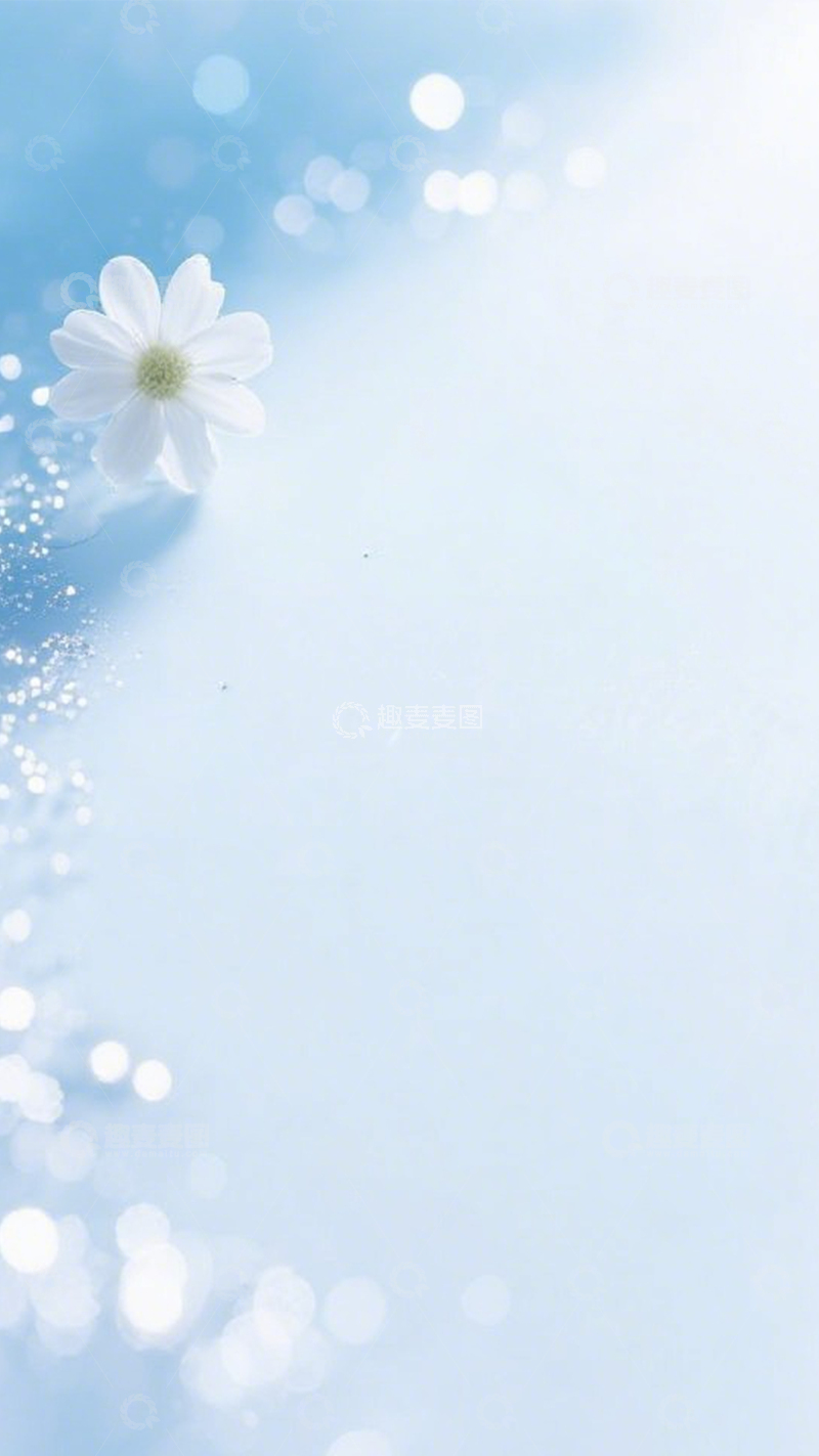 高清大图下载【趣麦麦图】蓝底白花清新氛围
