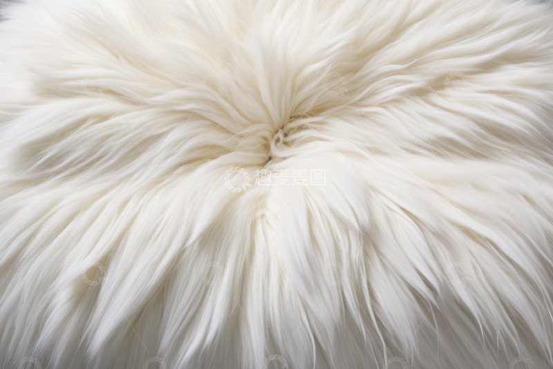 高清大图下载【趣麦麦图】白色柔软毛皮纹理特写