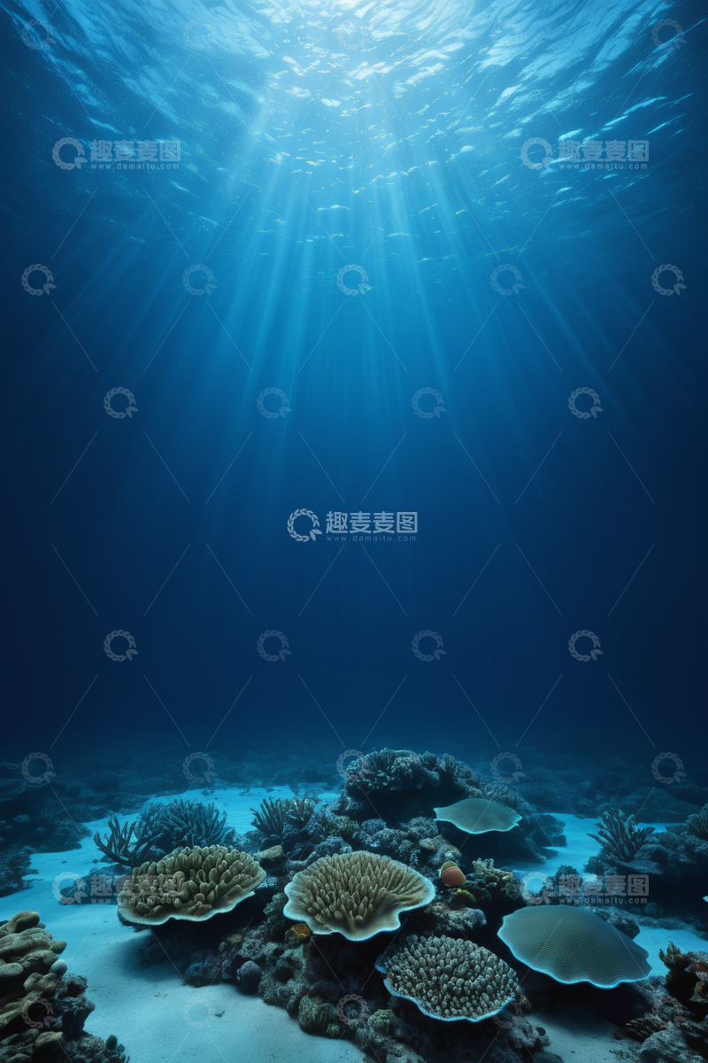 高清大图下载【趣麦麦图】海底珊瑚景观