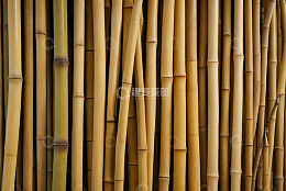 密集排列的竹竿特写