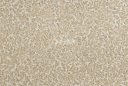 高清大图下载【趣麦麦图】金色植物图案背景纹理