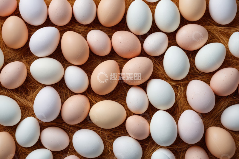 高清大图下载【趣麦麦图】放置在稻草上的多彩鸡蛋