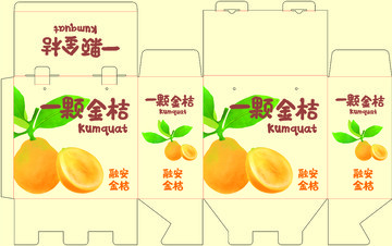 金桔包装设计素材