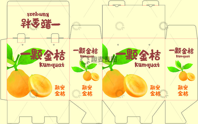 源文件下载【趣麦麦图】金桔包装设计素材