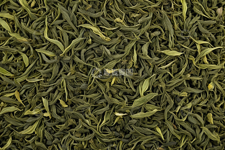优质绿茶干茶叶特写