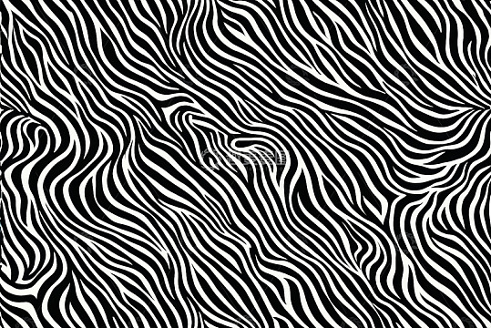黑白斑马纹图案素材