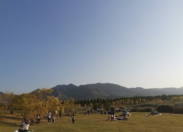 山林草坪景区