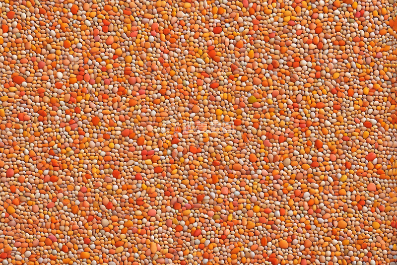 高清大图下载【趣麦麦图】多彩谷物微距特写