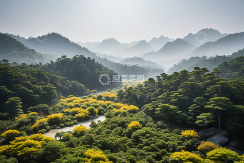 高清大图下载【趣麦麦图】山林间河流与多彩植被景观