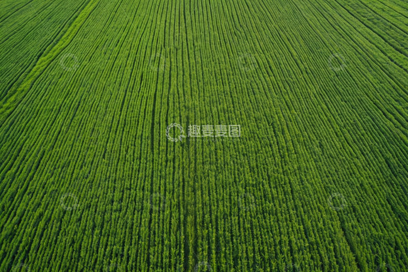 高清大图下载【趣麦麦图】航拍绿色农田景观