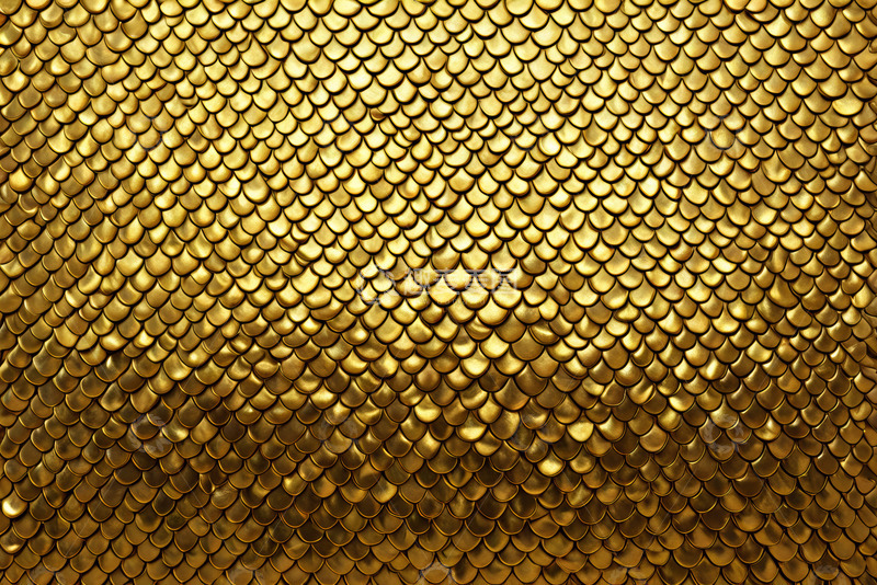 高清大图下载【趣麦麦图】金色鱼鳞状纹理背景