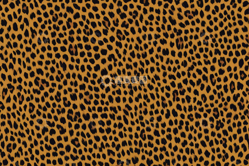 高清大图下载【趣麦麦图】豹纹图案纹理素材