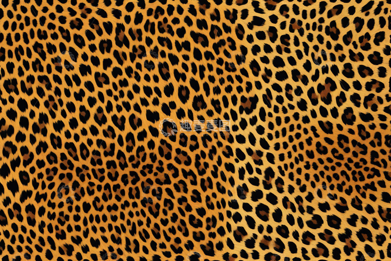 高清大图下载【趣麦麦图】豹纹图案纹理素材