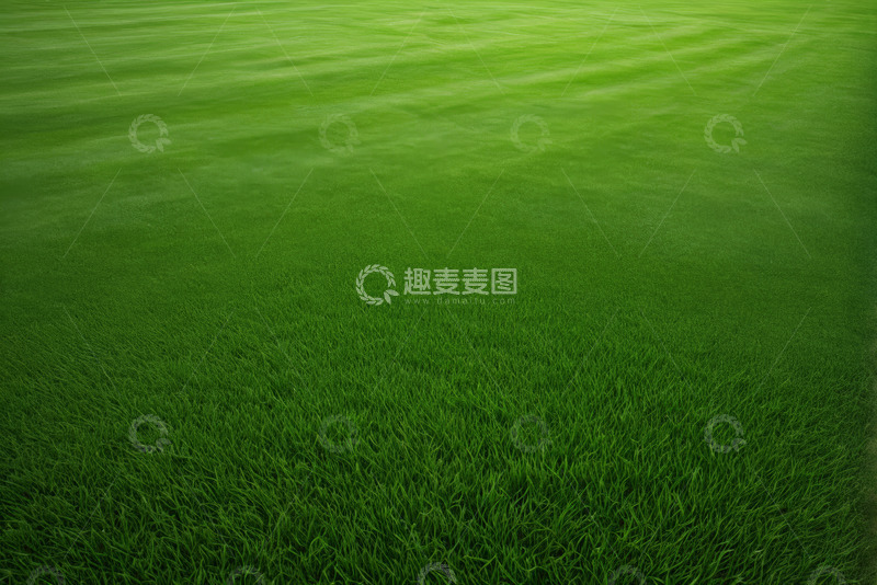 高清大图下载【趣麦麦图】户外平整的绿色草坪
