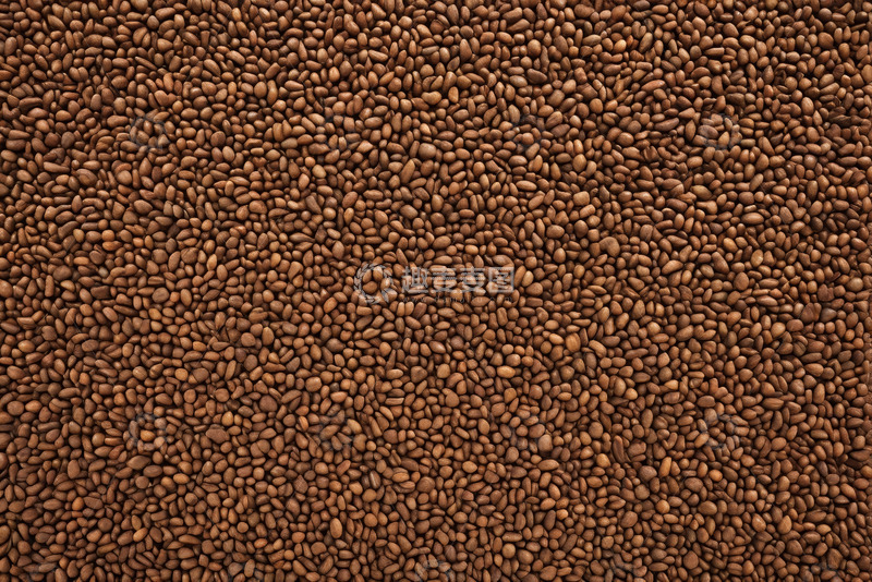 高清大图下载【趣麦麦图】棕色种子微距特写