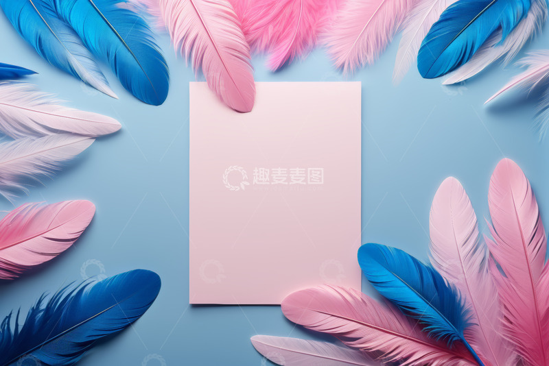 高清大图下载【趣麦麦图】-蓝粉羽毛围绕的空白卡片