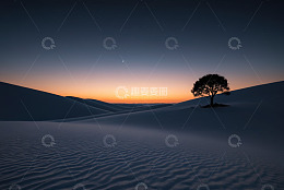 沙漠月夜孤树风景