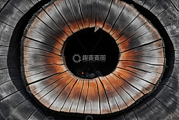木纹构成的眼球特写素材