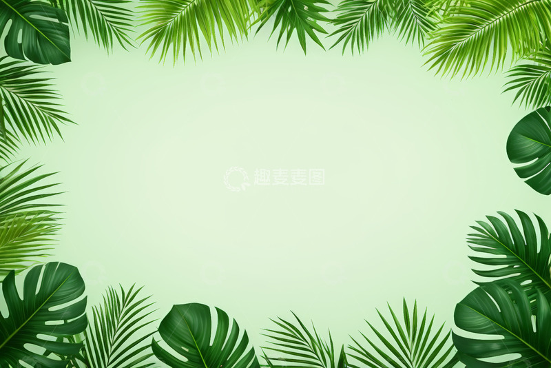 高清大图下载【趣麦麦图】绿色热带植物边框背景