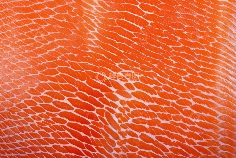 高清大图下载【趣麦麦图】三文鱼纹理特写
