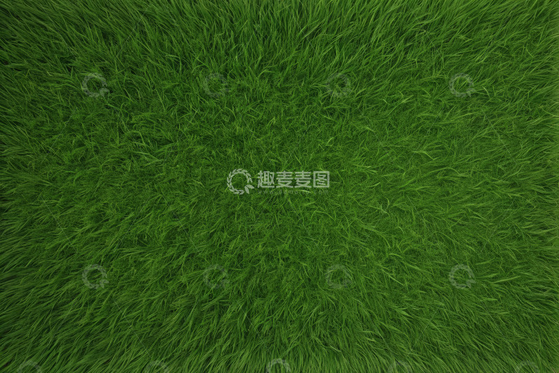 高清大图下载【趣麦麦图】绿色草地素材