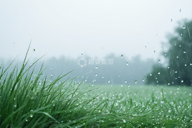 高清大图下载【趣麦麦图】雨中草地自然景象