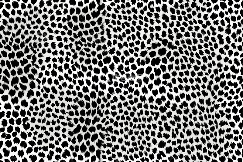 高清大图下载【趣麦麦图】黑白豹纹图案素材