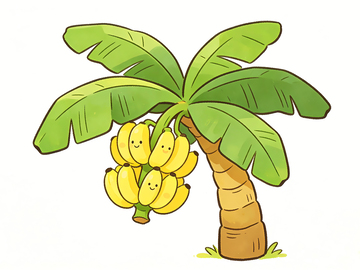 一颗香蕉树卡通