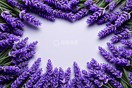 紫色薰衣草花卉环绕构图