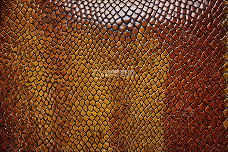 高清大图下载【趣麦麦图】蛇皮纹理皮革材质特写