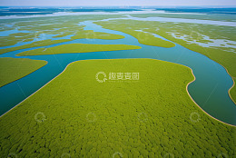 俯瞰绿色水域沼泽自然风光
