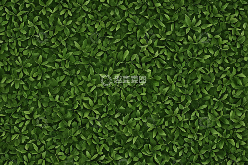 高清大图下载【趣麦麦图】绿色植物叶子背景纹理