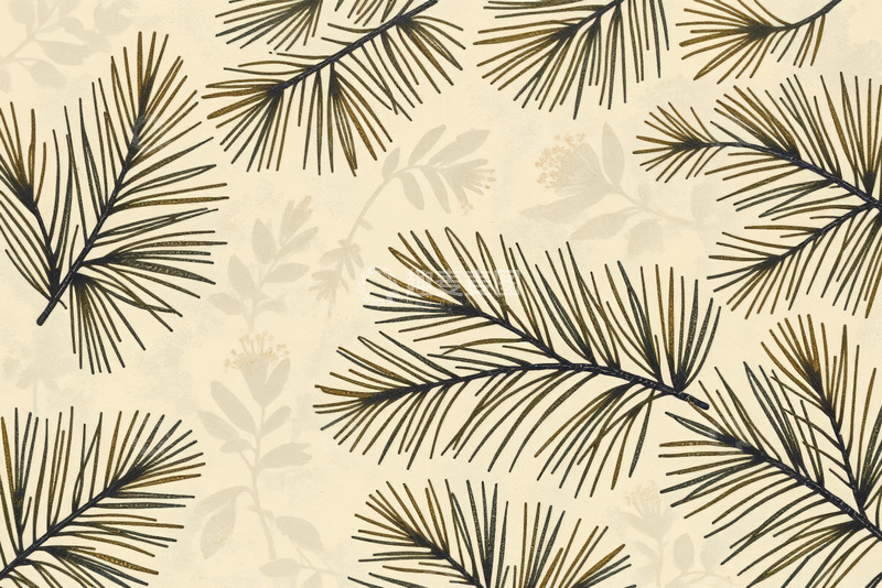 高清大图下载【趣麦麦图】松树枝特写自然素材