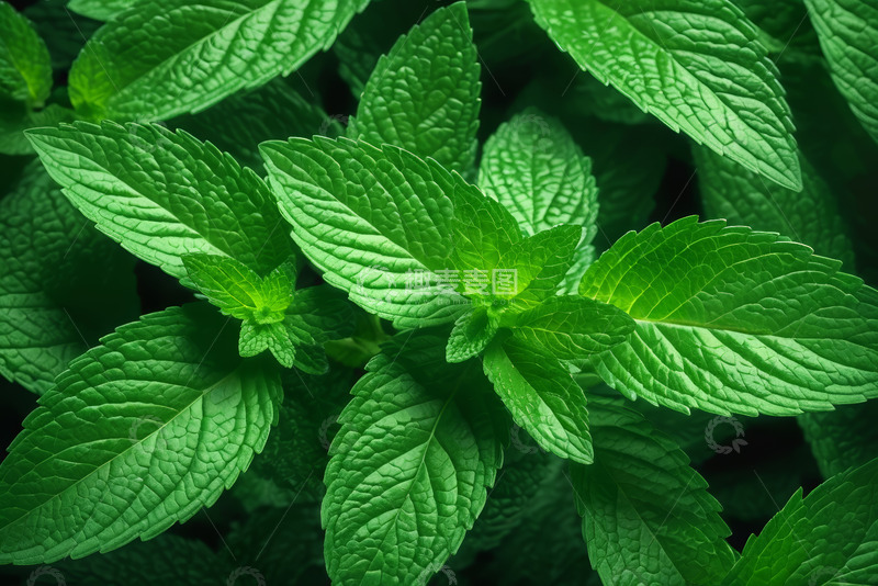 高清大图下载【趣麦麦图】黑金抽象纹理液体艺术背景